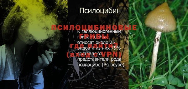 мяу мяу мука Алзамай