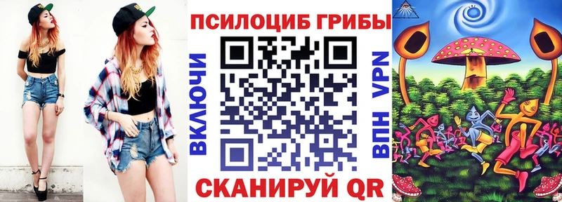 продажа наркотиков Болгар Псилоцибиновые грибы Psilocybine cubensis